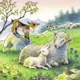puzzle-animale-si-pui-3x49-piese-ravensburger-2.jpg