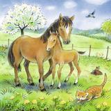 puzzle-animale-si-pui-3x49-piese-ravensburger-3.jpg