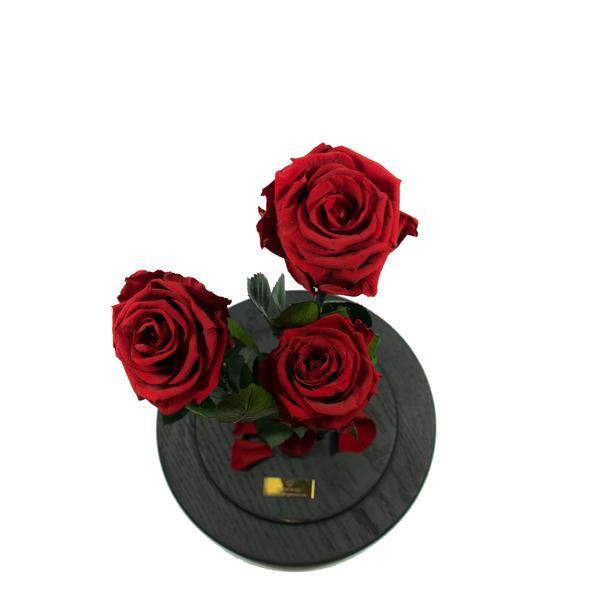 Aranjament 3 Trandafiri Criogenati Rosii Queen Roses in cupola de sticla personalizata