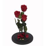 aranjament-3-trandafiri-criogenati-rosii-queen-roses-in-cupola-de-sticla-2.jpg