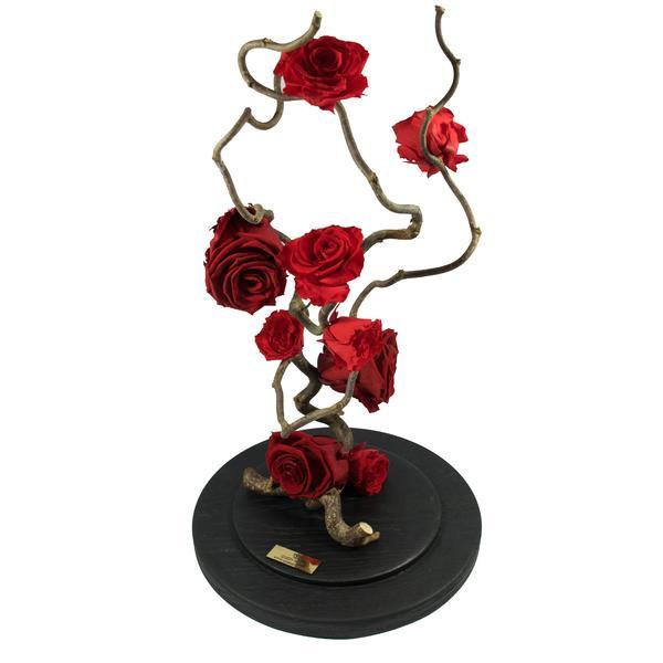 Aranjament 9 Trandafiri Criogenati Rosii Queen Roses in cupola de sticla personalizata