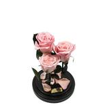 aranjament-3-trandafiri-criogenati-roz-queen-roses-in-cupola-de-sticla-2.jpg