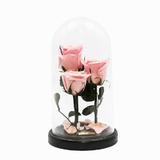 aranjament-3-trandafiri-criogenati-roz-queen-roses-in-cupola-de-sticla-3.jpg