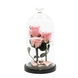 aranjament-3-trandafiri-criogenati-roz-queen-roses-in-cupola-de-sticla-4.jpg