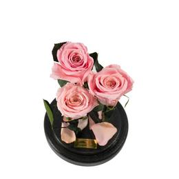 Aranjament 3 Trandafiri Criogenati Roz Queen Roses in cupola de sticla