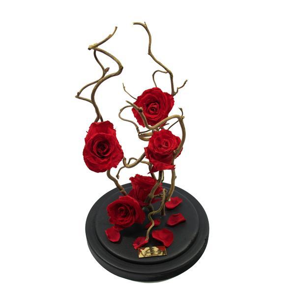 Aranjament 5 Trandafiri Criogenati Rosii Queen Roses in cupola de sticla personalizata