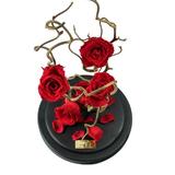 aranjament-5-trandafiri-criogenati-rosii-queen-roses-in-cupola-de-sticla-2.jpg