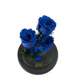 Aranjament 3 Trandafiri Criogenati Bleumarin Queen Roses in cupola de sticla personalizata