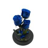 aranjament-3-trandafiri-criogenati-bleumarin-queen-roses-in-cupola-de-sticla-2.jpg