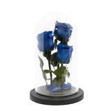aranjament-3-trandafiri-criogenati-bleumarin-queen-roses-in-cupola-de-sticla-4.jpg