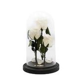 aranjament-3-trandafiri-criogenati-albi-queen-roses-in-cupola-de-sticla-3.jpg