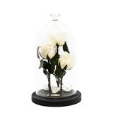 aranjament-3-trandafiri-criogenati-albi-queen-roses-in-cupola-de-sticla-4.jpg
