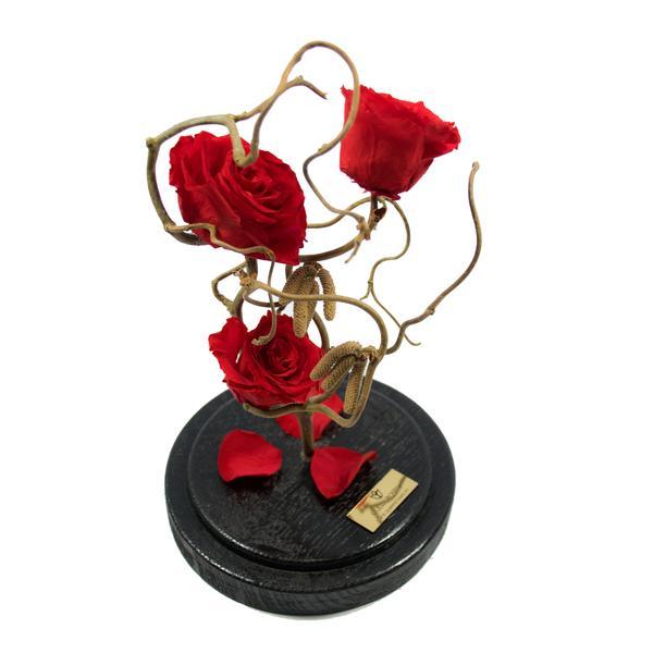 Aranjament 3 trandafiri criogenati rosii queen roses in cupola de sticla personalizata