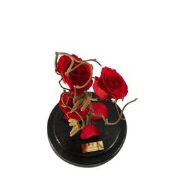 Aranjament 3 Trandafiri Criogenati Rosii Queen Roses in cupola de sticla