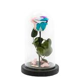 trandafir-criogenat-multicolor-queen-roses-in-cupola-de-sticla-4.jpg