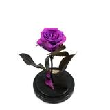 trandafir-criogenat-fucsia-queen-roses-in-cupola-de-sticla-2.jpg