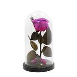trandafir-criogenat-fucsia-queen-roses-in-cupola-de-sticla-3.jpg