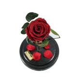 Trandafir Criogenat Rosu Queen Roses in cupola de sticla personalizata