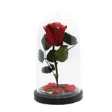 trandafir-criogenat-rosu-queen-roses-in-cupola-de-sticla-3.jpg