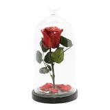 trandafir-criogenat-rosu-queen-roses-in-cupola-de-sticla-4.jpg