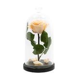 trandafir-criogenat-crem-queen-roses-in-cupola-de-sticla-3.jpg