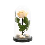 trandafir-criogenat-crem-queen-roses-in-cupola-de-sticla-4.jpg