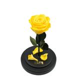 trandafir-criogenat-galben-queen-roses-in-cupola-de-sticla-2.jpg