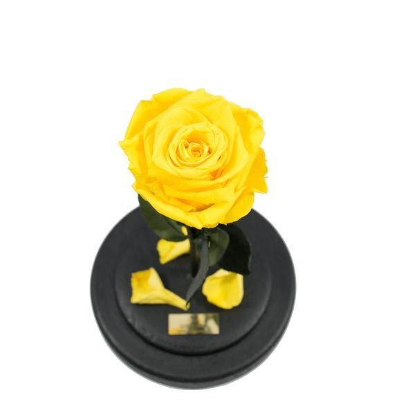 Trandafir Criogenat Galben Queen Roses in cupola de sticla personalizata