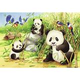 puzzle-koala-si-panda-2x24-piese-ravensburger-2.jpg