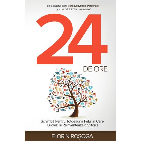 24 de ore - florin rosoga