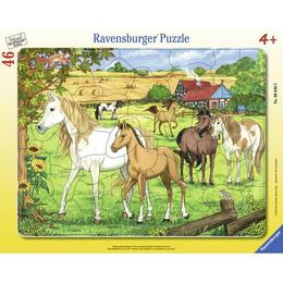 Puzzle cai la ferma, 46 piese - ravensburger