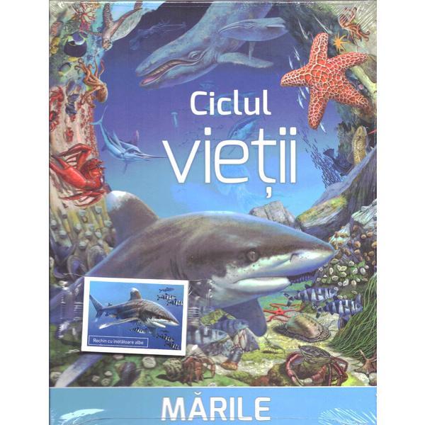 Ciclul vietii: marile, editura mediadocs