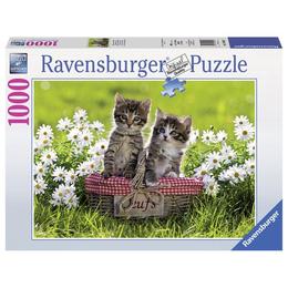 Puzzle pisicute in cosulet, 1000 piese - Ravensburger