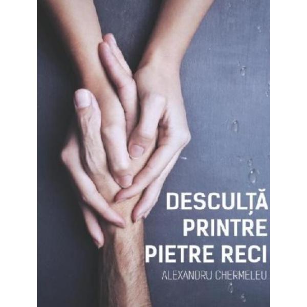 Desculta printre pietre reci vol.1 - alexandru chermeleu, editura stylished