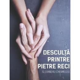 Desculta printre pietre reci vol.1 - alexandru chermeleu, editura stylished