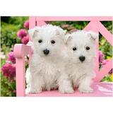 puzzle-120-white-terrier-puppies-2.jpg