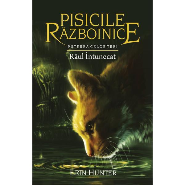 Pisicile Razboinice vol.14: Raul intunecat - Erin Hunter, editura All