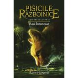 Pisicile Razboinice vol.14: Raul intunecat - Erin Hunter, editura All