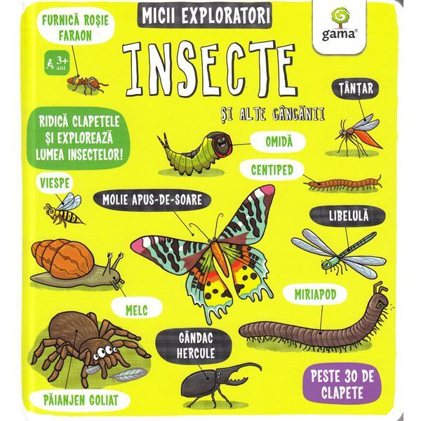 Insecte si alte ganganii - micii exploratori