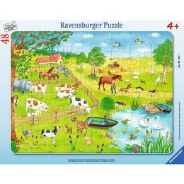 Puzzle zona rurala, 48 piese - ravensburger
