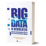 Big data - Viktor Mayer-Schonberger, Kenneth Cukier, editura Act Si Politon