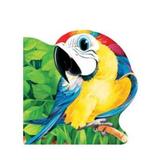Papagalul - Primii Pasi, editura Prut