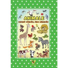 Animale - versuri adunate, rime minunate - izabela constantin, editura aquila