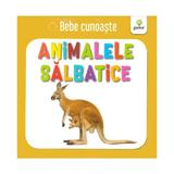 Animalele salbatice - bebe cunoaste, editura Gama