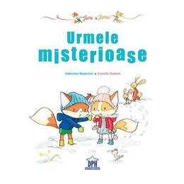 Jumi si Juma: Urmele misterioase - Fabienne Blanchut, Camille Dubois, editura Didactica Publishing House