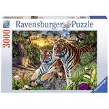 Puzzle tigri, 3000 piese - Ravensburger