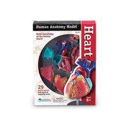 Corpul uman - Inima - Macheta cu 29 piese - Set educativ Learning Resources