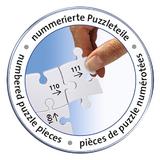 puzzle-3d-castelul-neuschwanstein-216-piese-4.jpg