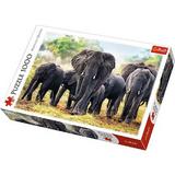 Puzzle clasic pentru copii si familie - Elefanti Africani 1000 piese