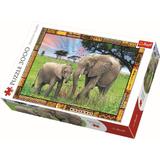 Puzzle clasic copii si familie - Elefanti 3000 piese - Terfl